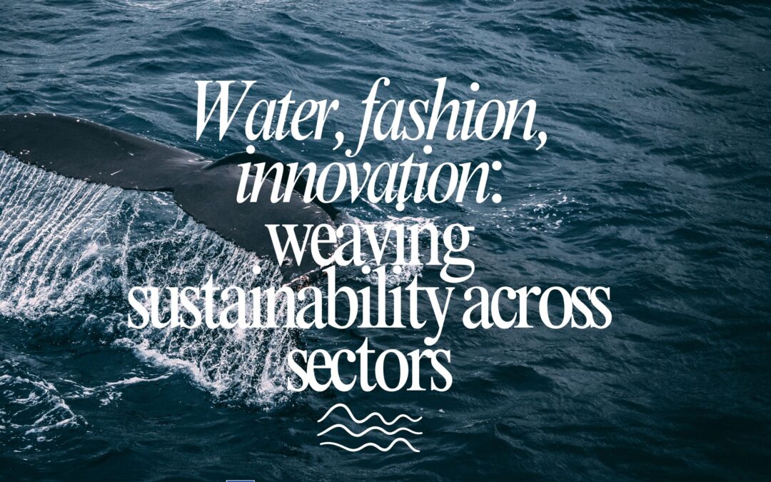 “WATER, FASHION, INNOVATION: WEAVING SUSTAINABILITY ACROSS SECTORS”. How can innovation help solve pollution?
